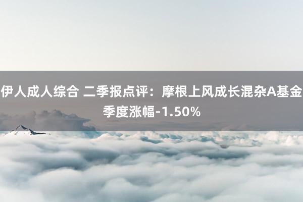 伊人成人综合 二季报点评：摩根上风成长混杂A基金季度涨幅-1.50%