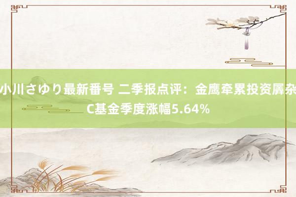 小川さゆり最新番号 二季报点评：金鹰牵累投资羼杂C基金季度涨幅5.64%