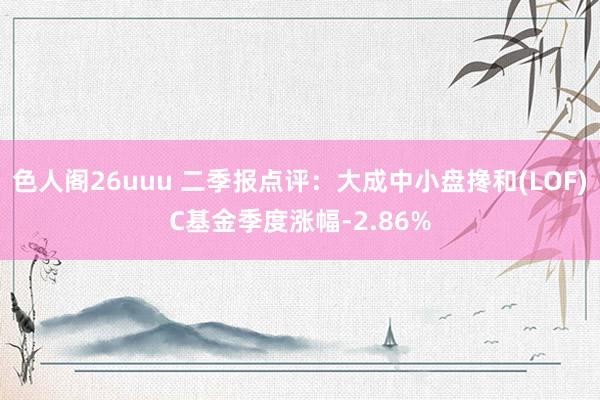 色人阁26uuu 二季报点评：大成中小盘搀和(LOF)C基金季度涨幅-2.86%