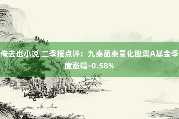 俺去也小说 二季报点评：九泰盈泰量化股票A基金季度涨幅-0.58%