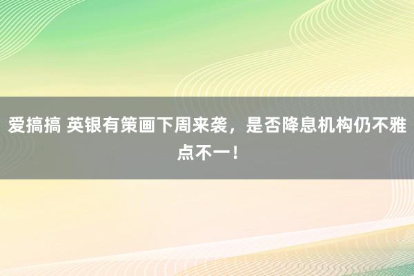 爱搞搞 英银有策画下周来袭，是否降息机构仍不雅点不一！