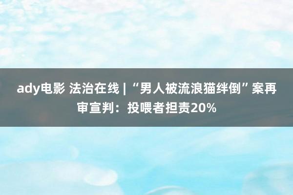 ady电影 法治在线 | “男人被流浪猫绊倒”案再审宣判：投喂者担责20%