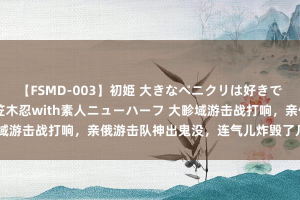 【FSMD-003】初姫 大きなペニクリは好きですか！？ ニューハーフ笠木忍with素人ニューハーフ 大畛域游击战打响，亲俄游击队神出鬼没，连气儿炸毁了几十辆军车