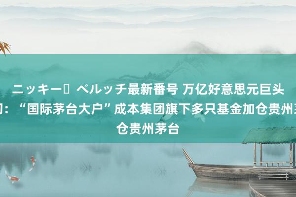 ニッキー・ベルッチ最新番号 万亿好意思元巨头起初：“国际茅台大户”成本集团旗下多只基金加仓贵州茅台