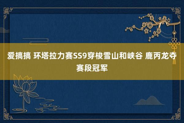 爱搞搞 环塔拉力赛SS9穿梭雪山和峡谷 鹿丙龙夺赛段冠军