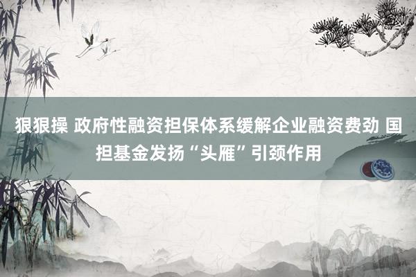 狠狠操 政府性融资担保体系缓解企业融资费劲 国担基金发扬“头雁”引颈作用