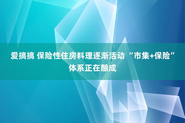 爱搞搞 保险性住房料理逐渐活动 “市集+保险”体系正在酿成