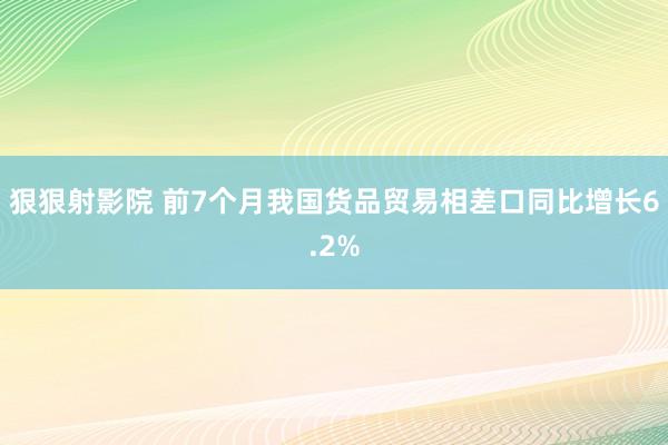 狠狠射影院 前7个月我国货品贸易相差口同比增长6.2%