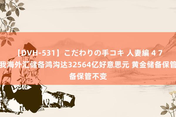 【DVH-531】こだわりの手コキ 人妻編 4 7月末我海外汇储备鸿沟达32564亿好意思元 黄金储备保管不变