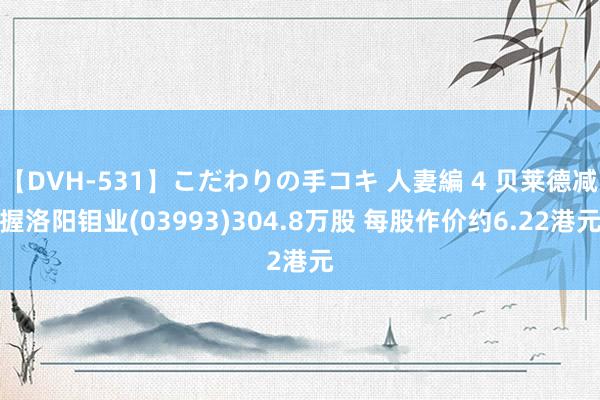 【DVH-531】こだわりの手コキ 人妻編 4 贝莱德减握洛阳钼业(03993)304.8万股 每股作价约6.22港元