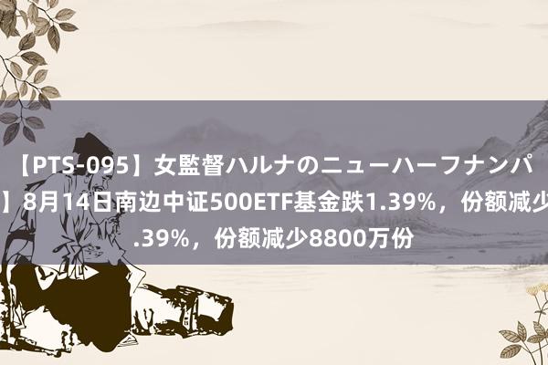 【PTS-095】女監督ハルナのニューハーフナンパ 【ETF动向】8月14日南边中证500ETF基金跌1.39%，份额减少8800万份