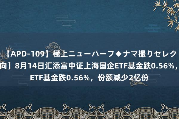 【APD-109】極上ニューハーフ◆ナマ撮りセレクション 【ETF动向】8月14日汇添富中证上海国企ETF基金跌0.56%，份额减少2亿份