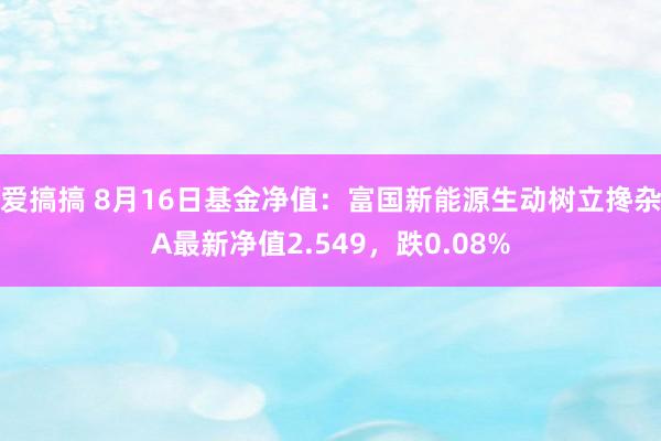 爱搞搞 8月16日基金净值：富国新能源生动树立搀杂A最新净值2.549，跌0.08%