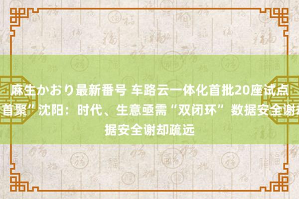 麻生かおり最新番号 车路云一体化首批20座试点城市“首聚”沈阳：时代、生意亟需“双闭环” 数据安全谢却疏远