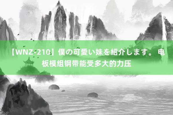 【WNZ-210】僕の可愛い妹を紹介します。 电板模组钢带能受多大的力压