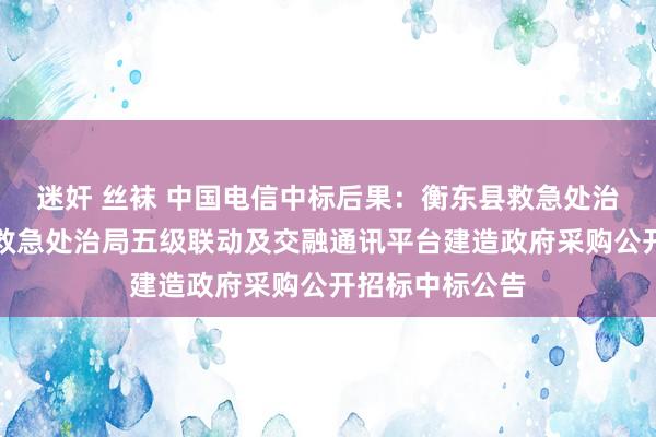 迷奸 丝袜 中国电信中标后果：衡东县救急处治局本级衡东县救急处治局五级联动及交融通讯平台建造政府采购公开招标中标公告