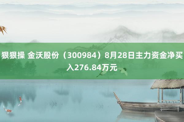 狠狠操 金沃股份（300984）8月28日主力资金净买入276.84万元