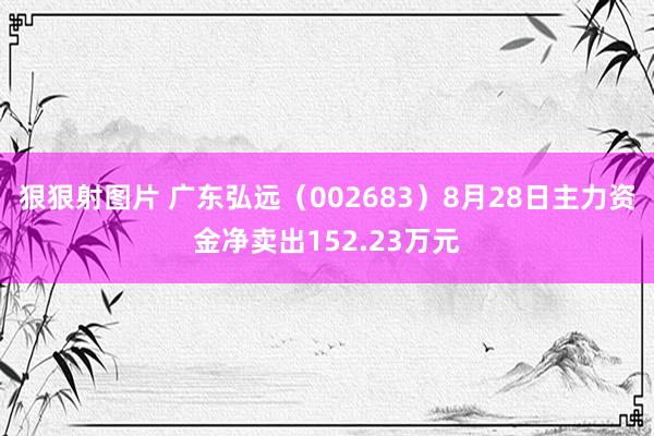 狠狠射图片 广东弘远（002683）8月28日主力资金净卖出152.23万元