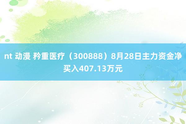 nt 动漫 矜重医疗（300888）8月28日主力资金净买入407.13万元