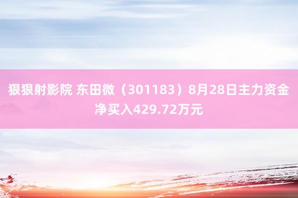 狠狠射影院 东田微（301183）8月28日主力资金净买入429.72万元