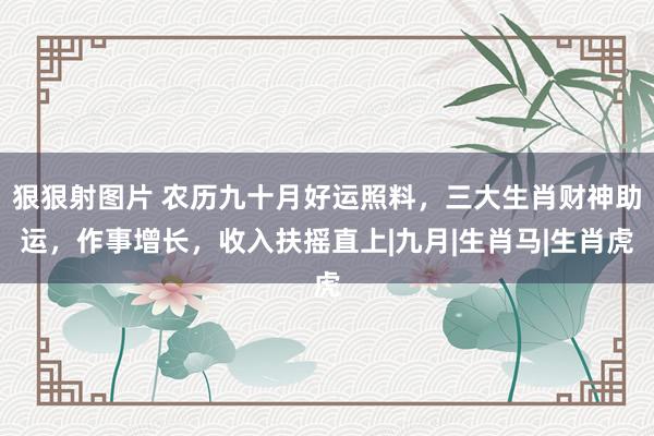 狠狠射图片 农历九十月好运照料，三大生肖财神助运，作事增长，收入扶摇直上|九月|生肖马|生肖虎