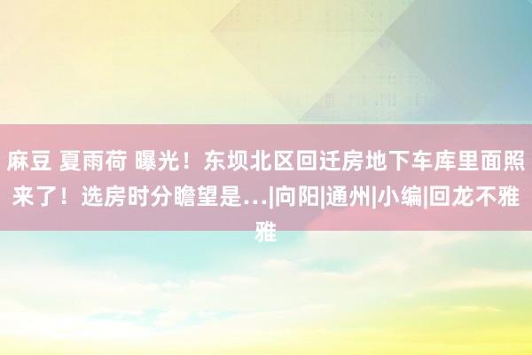 麻豆 夏雨荷 曝光！东坝北区回迁房地下车库里面照来了！选房时分瞻望是…|向阳|通州|小编|回龙不雅