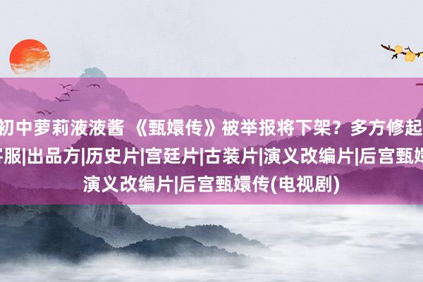 初中萝莉液液酱 《甄嬛传》被举报将下架？多方修起|贵妃|剧版|客服|出品方|历史片|宫廷片|古装片|演义改编片|后宫甄嬛传(电视剧)